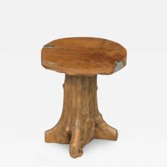 Mid Century Modern Walnut Free Form Root Tree Table - 3196624