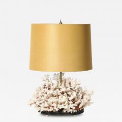 Mid Century Modernist Coral Table Lamp with Walnut Base Brass Fittings - 4515480