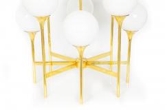 Mid Century Polished Brass Eight Light Chandelier by Gaetano Sciolari ca 1970s - 4501204