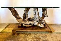 Mid Century Root Table - 1374624