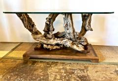 Mid Century Root Table - 1374625