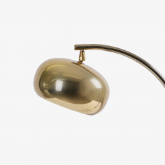 Mid Century Task Desk Lamp in Brass Lucite - 2524303