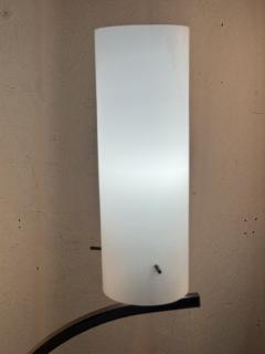 Mid Century satin glass Lamps - 4318771
