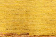 Midcentury Swedish Flat Weave Rug in Honey Yelllow - 3582573