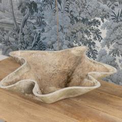 Midcentury Swiss Willy Guhl Planter - 4708880