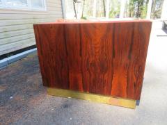 Milo Baughman Magnificent Milo Baughman Rosewood Case Sofa Brass Base Mid Century Modern - 3060946