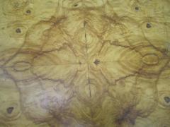 Milo Baughman Milo Baughman style Lucite and Olive Ash Burl Side End Table Mid century Modern - 1229173