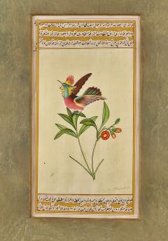 Miniature of Hummingbird India circa 1870 - 3637667