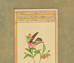 Miniature of Hummingbird India circa 1870 - 3637668