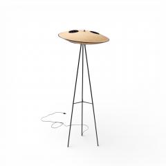 Mitchell Bobrick Mitchell Bobrick for Controlight Enameled Steel and Fiberglass Floor Lamp - 4510689