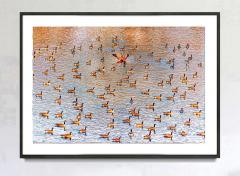 Mitchell Funk A Paddling of Ducks on an Amber Cinnamon Pond - 3216197