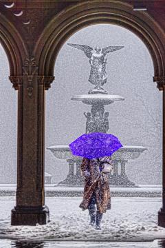 Mitchell Funk Bethesda fountain Central Park in Snow With Purple Umbrella - 3849850