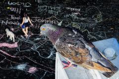 Mitchell Funk Birds Eye View New York City Street Art with Pigeon Connoisseur - 4164805