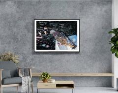 Mitchell Funk Birds Eye View New York City Street Art with Pigeon Connoisseur - 4164808