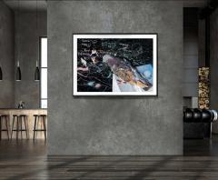 Mitchell Funk Birds Eye View New York City Street Art with Pigeon Connoisseur - 4164809
