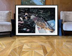 Mitchell Funk Birds Eye View New York City Street Art with Pigeon Connoisseur - 4164810