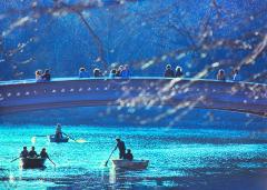 Mitchell Funk Bow Bridge Row Boats in Central Park Cerulean Blue - 3215730