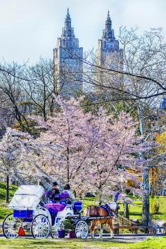 Mitchell Funk Classic Old New York Vintage Central Park - 4233897