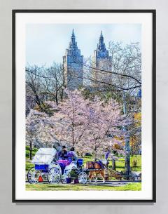 Mitchell Funk Classic Old New York Vintage Central Park - 4233902