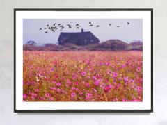 Mitchell Funk East Hampton Landscape with Field of Pink Flowers and Migrating Birds - 3254039