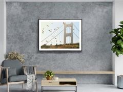 Mitchell Funk Golden Gate Bridge with Birds in Monochrome San Francisco - 3853862