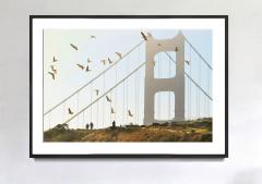 Mitchell Funk Golden Gate Bridge with Birds in Monochrome San Francisco - 3853864