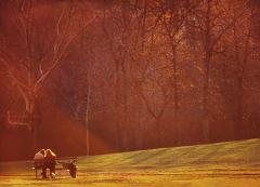 Mitchell Funk Golden Light Illuminates a Romantic Couple in Central Park Amber and Orange - 3247456
