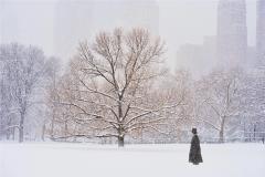 Mitchell Funk Man With Top Hat In Central Park During Snowstorm - 2095417