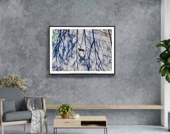 Mitchell Funk The Dogs of New York - 4417858