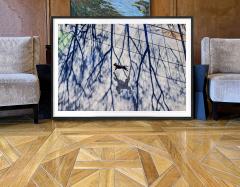 Mitchell Funk The Dogs of New York - 4417859