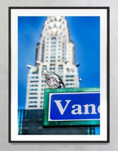 Mitchell Funk The Pigeon and The Chrysler Building - 4301254