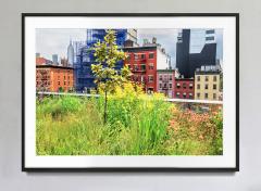 Mitchell Funk Wherever You Look You See The Chrysler Building The High Line - 4092717