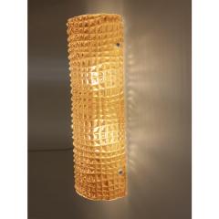 Modern Amber Cocodrile Murano Glass Wall Sconce - 4302981