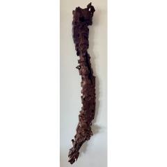 Modern Art Polished Driftwood Sculpture - 4247383
