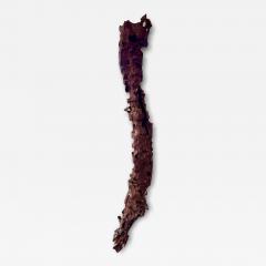Modern Art Polished Driftwood Sculpture - 4248586