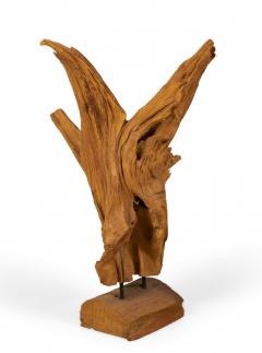 Modern Asian Teak Tree Root Sculpture - 3207090
