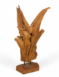 Modern Asian Teak Tree Root Sculpture - 3207098