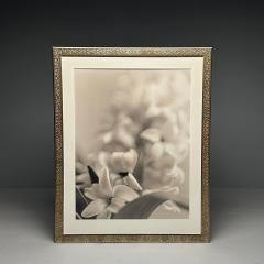 Modern Large Black and White Photographs Floral Still Life Framed 1990s - 3555483