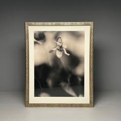 Modern Large Black and White Photographs Floral Still Life Framed 1990s - 3555484