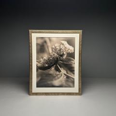Modern Large Black and White Photographs Floral Still Life Framed 1990s - 3555490