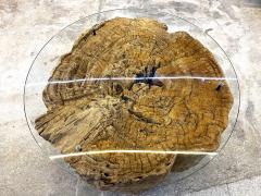 Modern Organic Driftwood Coffee Table With Glass Top Black Steel Base 2025 - 4568099
