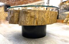 Modern Organic Driftwood Coffee Table With Glass Top Black Steel Base 2025 - 4568103