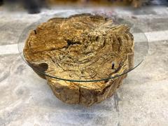 Modern Organic Driftwood Coffee Table With Glass Top Black Steel Base 2025 - 4568107