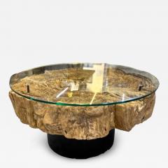 Modern Organic Driftwood Coffee Table With Glass Top Black Steel Base 2025 - 4568778