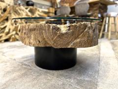 Modern Organic Driftwood Sofa Coffee Table With Glass Top On Black Steel Base - 3365304