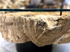 Modern Organic Driftwood Sofa Coffee Table With Glass Top On Black Steel Base - 3365305