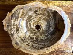 Modern Organic Petrified Wood Sink Grey Brown Beige polished IDN 2025 - 4327705