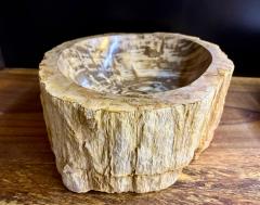 Modern Organic Petrified Wood Sink Grey Brown Beige polished IDN 2025 - 4327706
