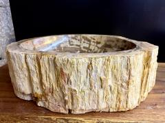Modern Organic Petrified Wood Sink Grey Brown Beige polished IDN 2025 - 4327711