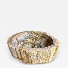 Modern Organic Petrified Wood Sink Grey Brown Beige polished IDN 2025 - 4327886